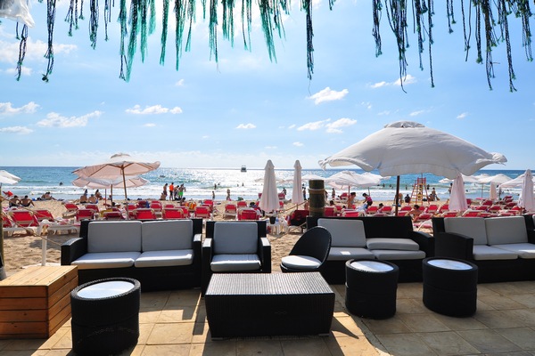 Edde Sands on Sunday